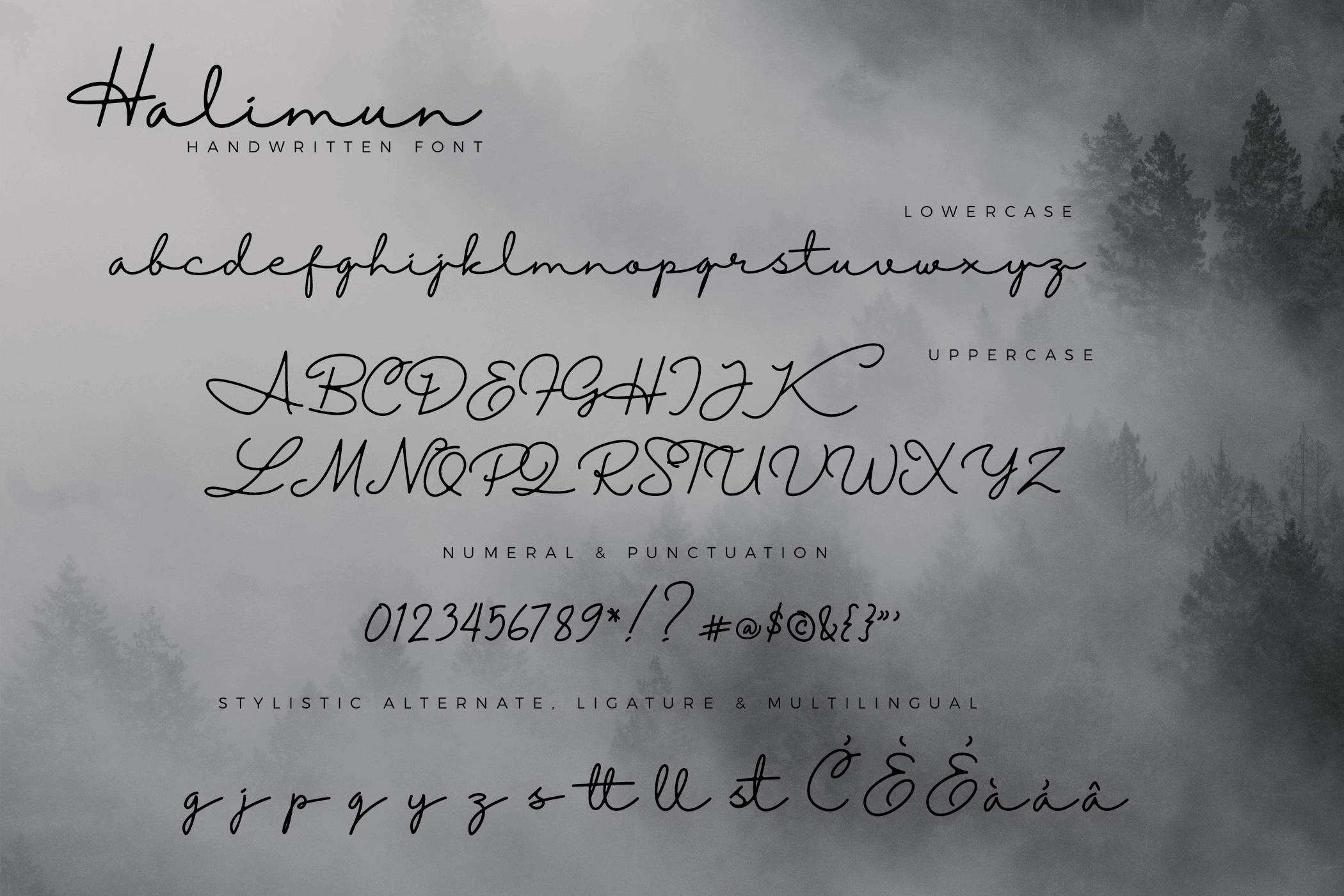 Halimun Script Style - Image 11