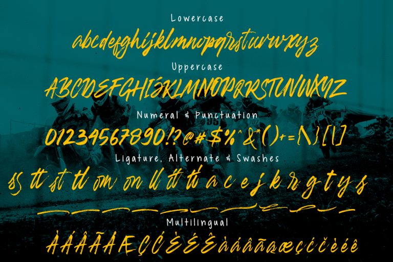Banshee Brush Script - Image 9