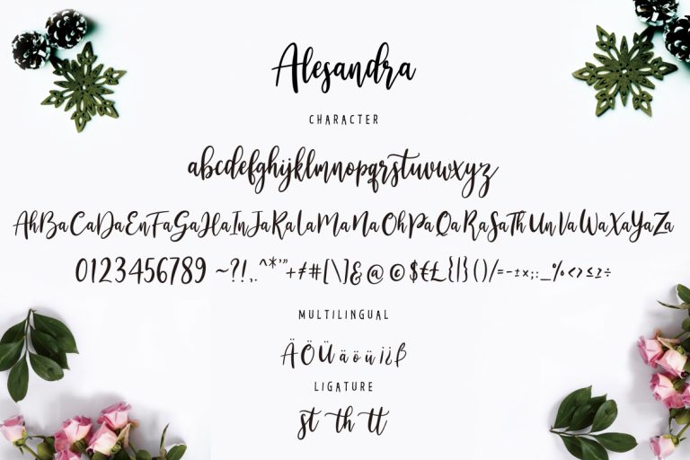 Alesandra Modern Calligraphy - Image 7