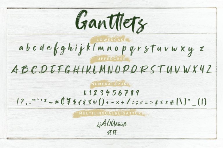 Ganttlets Brush Script - Image 7