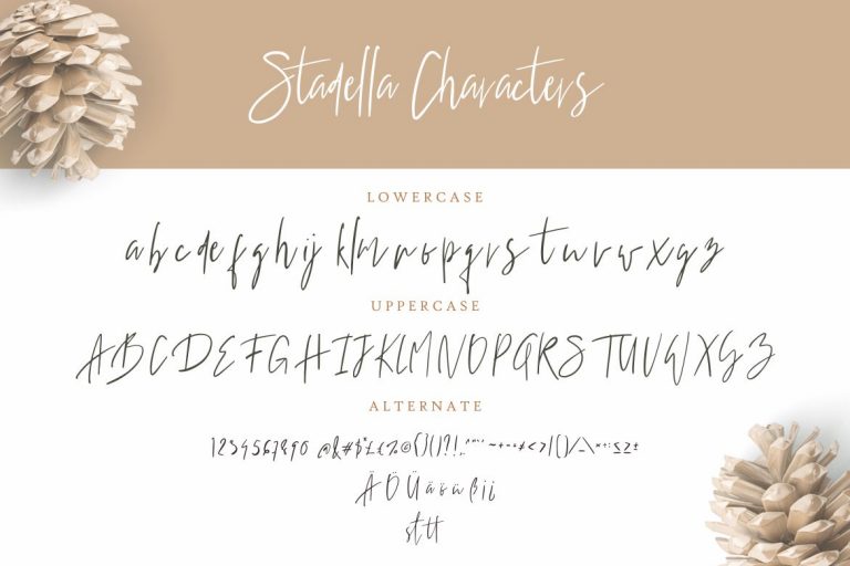 Stadella Signature Script - Image 7