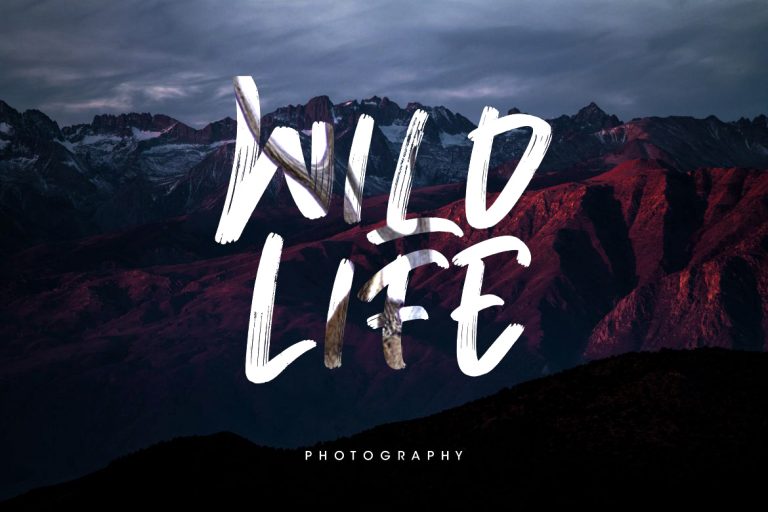 Breaker The Brush Typeface - Image 4