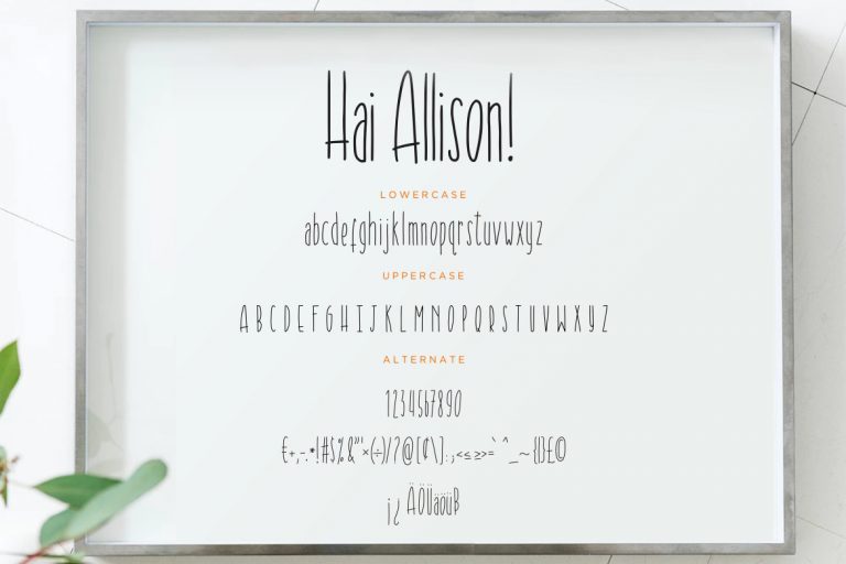 Hai Allison Fun Display - Image 7