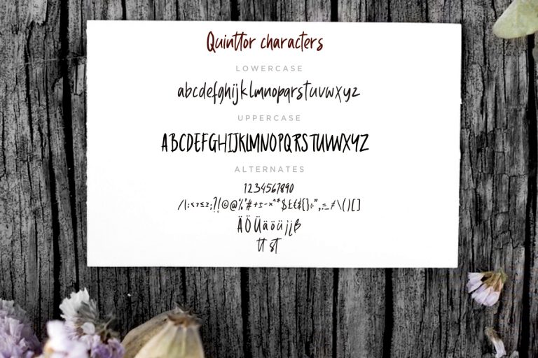 Quinttor Sans Serif - Image 7
