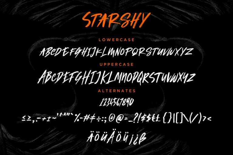 Starshy Street Brush - Image 7
