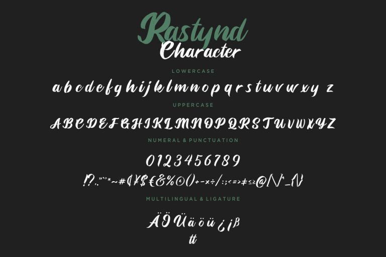 Rastynd Script Bold Modern - Image 7