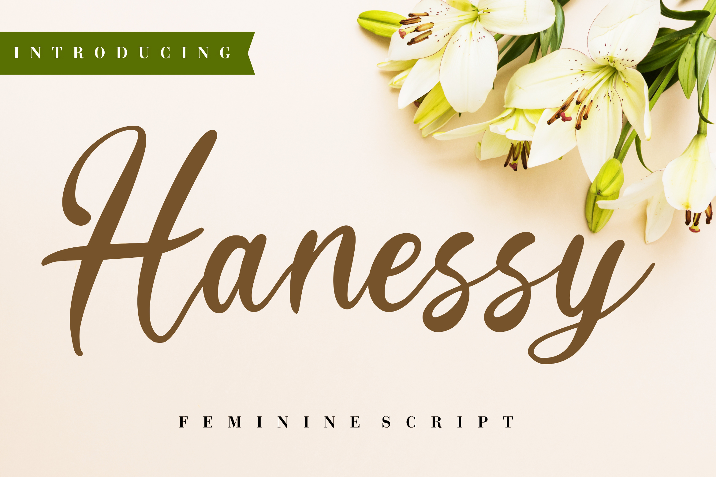 Hanessy Feminine Script