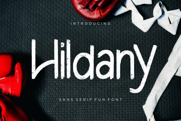 Hildany Sans Fun