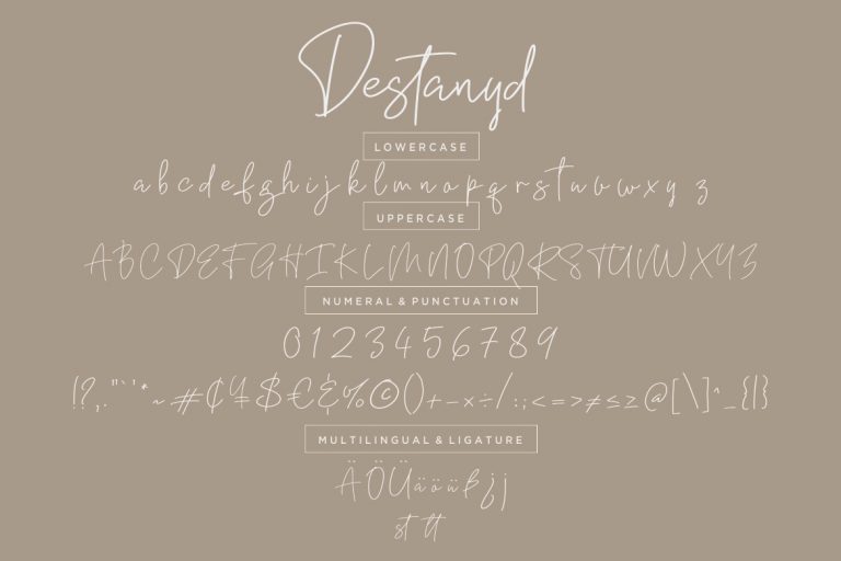 Destanyd Handwriting Monoline - Image 7