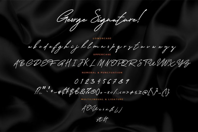George Signature Classy - Image 7