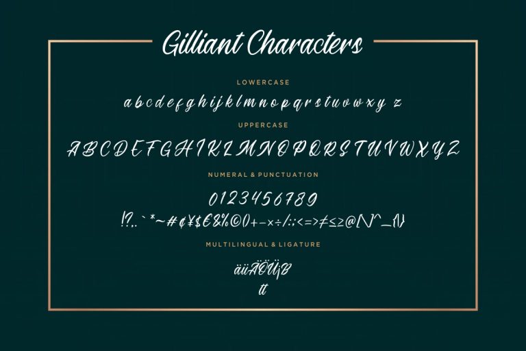 Gilliant Script Typeface - Image 7