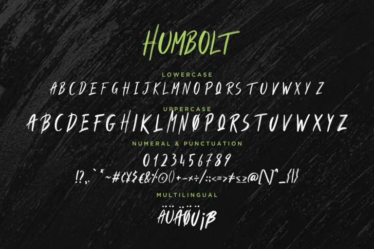 Humbolt Brush Typeface - Image 7