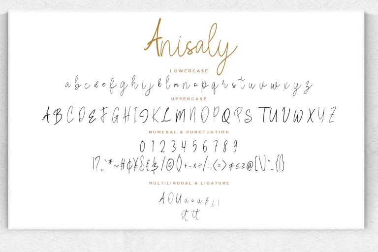 Anisaly Script - Image 7
