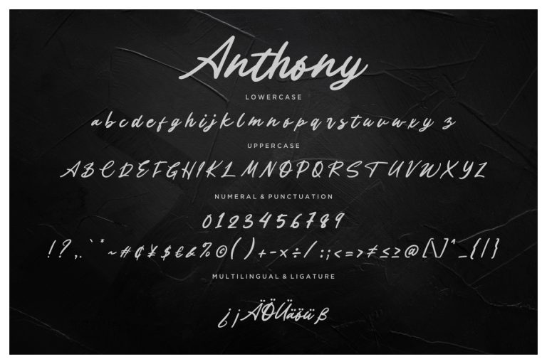 Anthony Handwritten Signature - Image 7