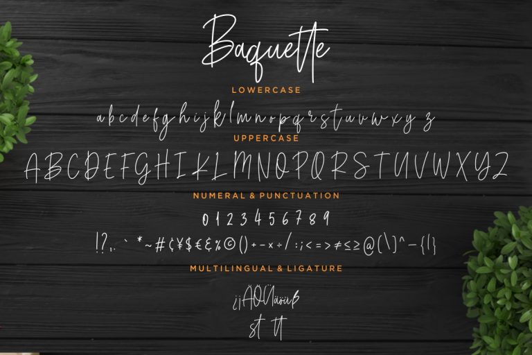 Baquette Monoline Script - Image 7