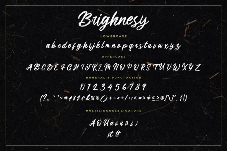 Brighnesy Hand Brush - Image 7