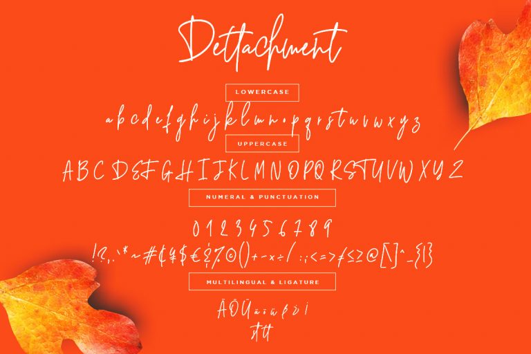 Dettachment Handwritten - Image 7