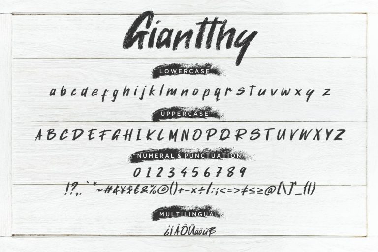 Giantthy Handdrawn Stylish Brush - Image 7