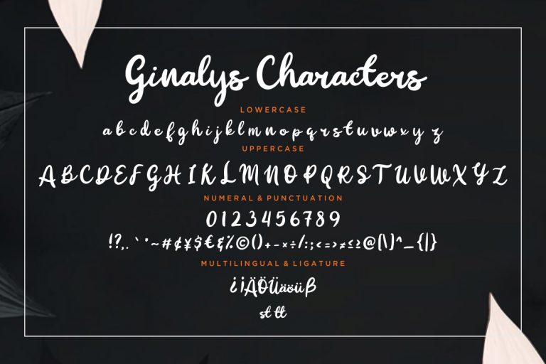Ginalys Bold Brush - Image 7