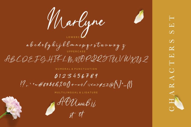 Marlyne Signature Script - Image 7