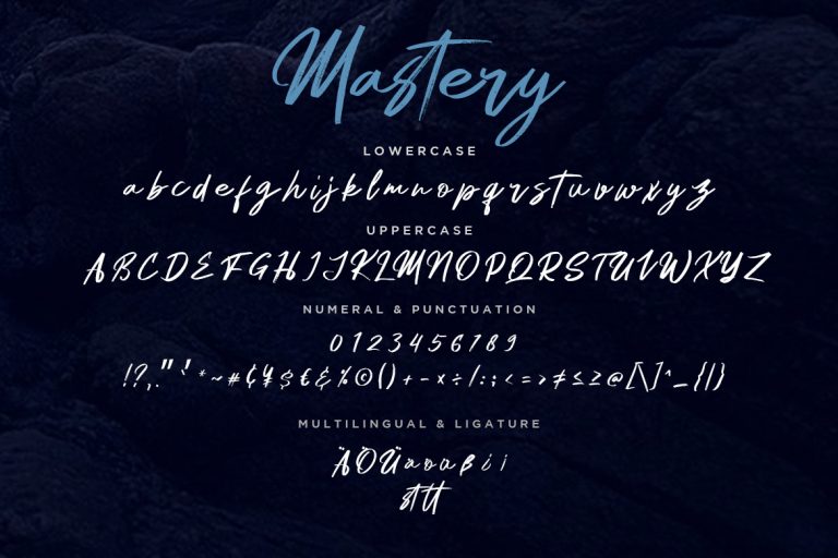 Mastery Hand Brush - Image 7