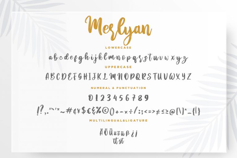 Merlyan Brush Calligraphy - Image 7