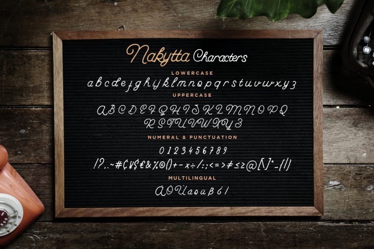Nakytta Monoline Script - Image 7