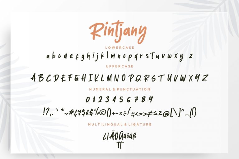 Rintjany Stylish Marker Typeface - Image 7