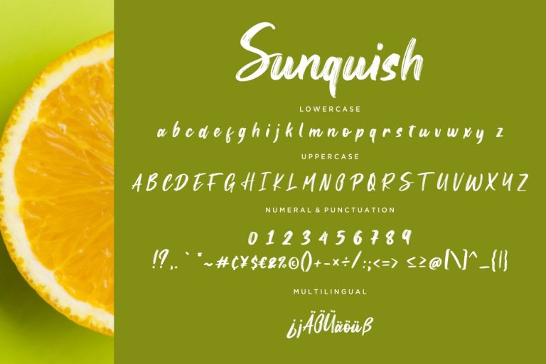 Sunquish Stylish Handbrush - Image 7