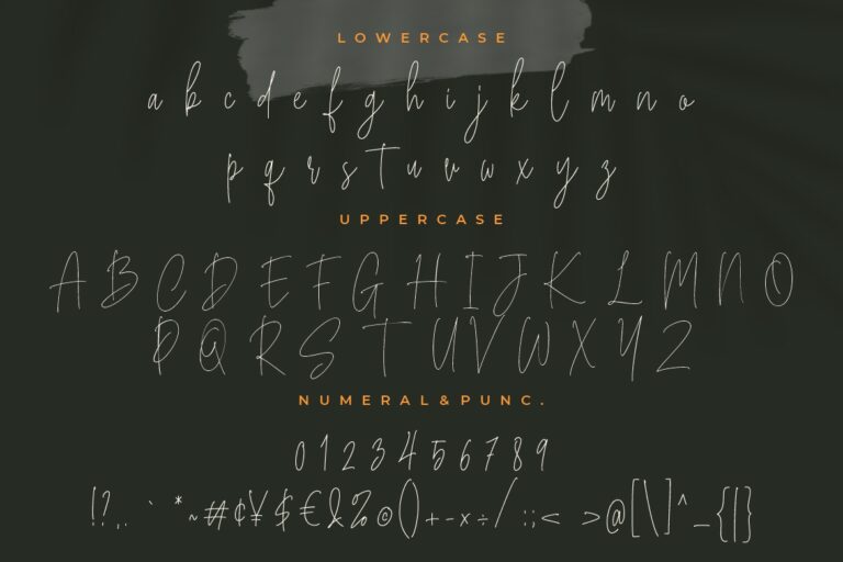 Bucherry Monoline Script - Image 8