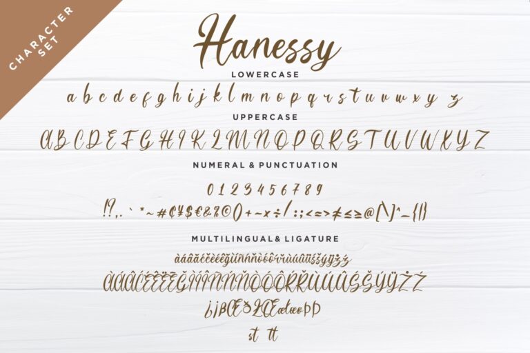 Hanessy Feminine Script - Image 7