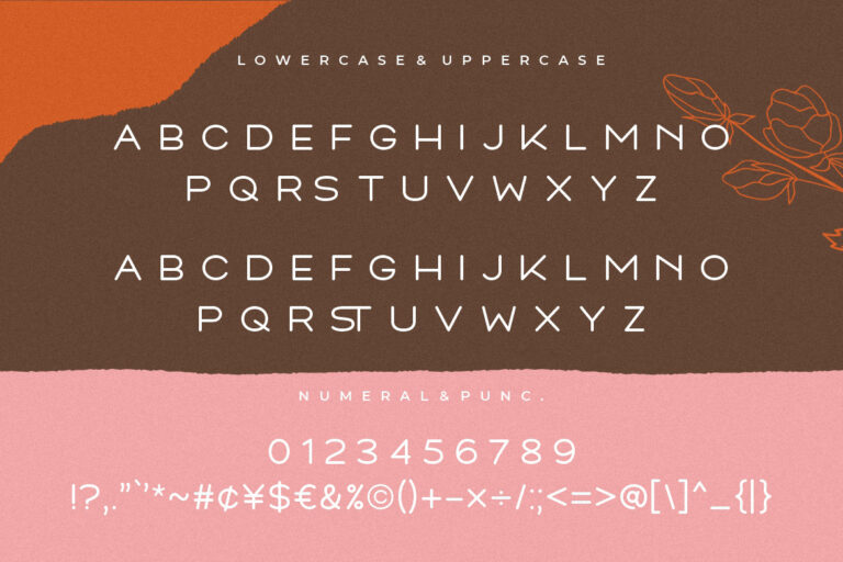 Montrelo Elegant Sans Serif - Image 10