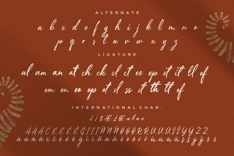 Priscilla Fancy Brush Typeface - Image 11