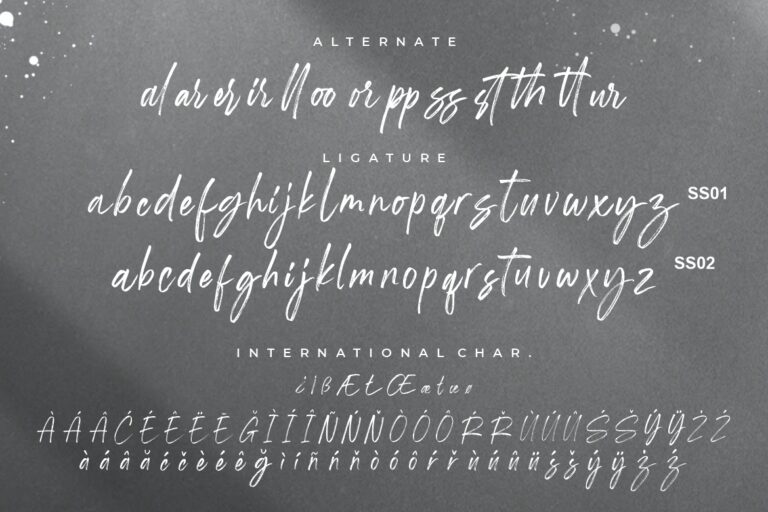 Shutterland Handbrush Script - Image 8