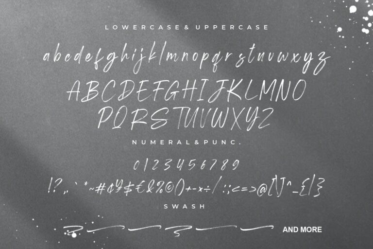 Shutterland Handbrush Script - Image 9