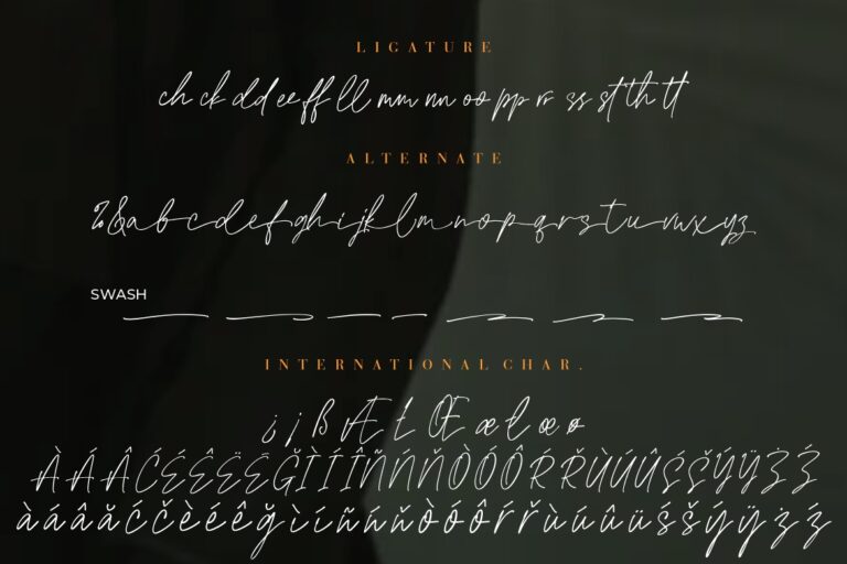 Edward Signature Script - Image 9