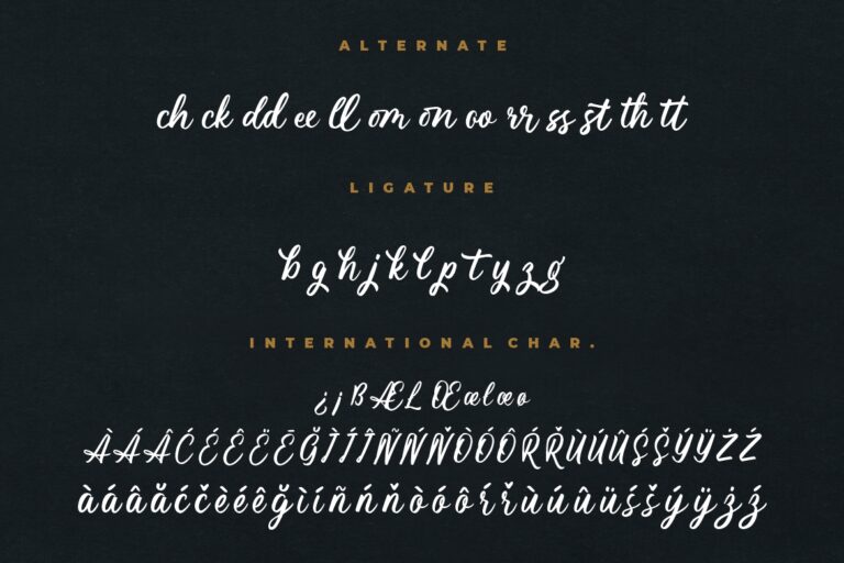 Magnifyco Bold Script - Image 9