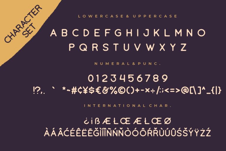 Tropikana Monoline Vintage Typeface - Image 8