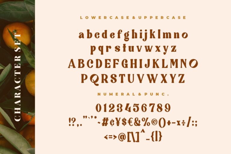 Quickly Sustain Modern Serif - Image 8