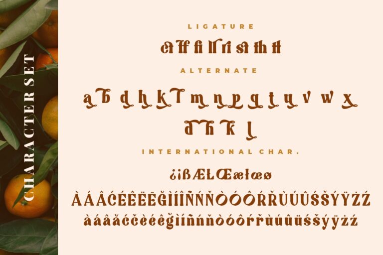 Quickly Sustain Modern Serif - Image 9