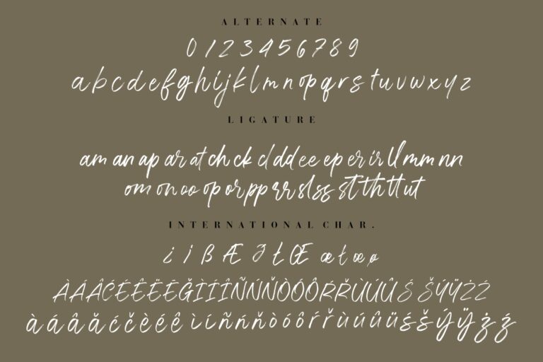 The Brands Quest Signature Brush - Image 10