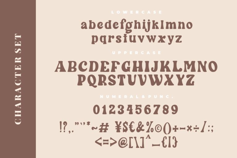 Wintter Modern Chic Serif - Image 8