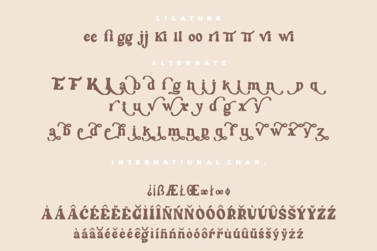 Wintter Modern Chic Serif - Image 9