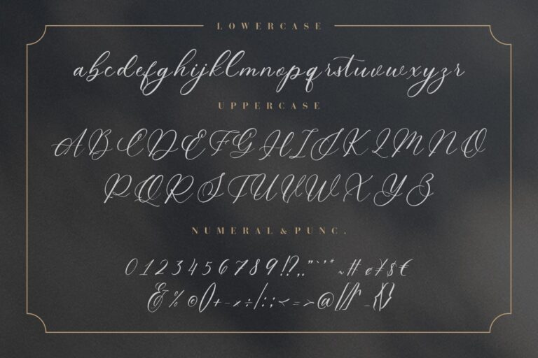 Wyattruly Luxury Script - Image 8