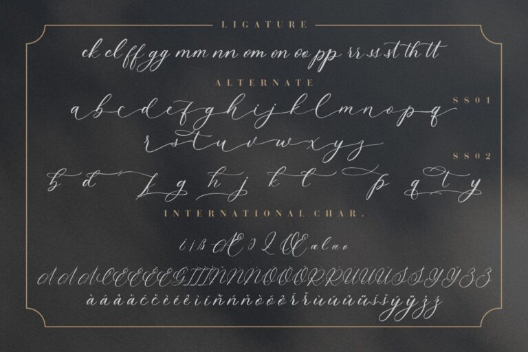 Wyattruly Luxury Script - Image 9