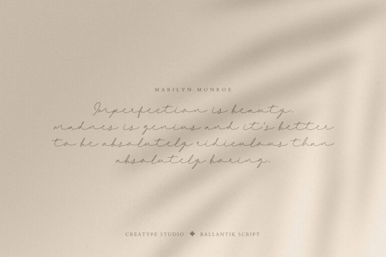Ballantik Modern Monoline Script - Image 4