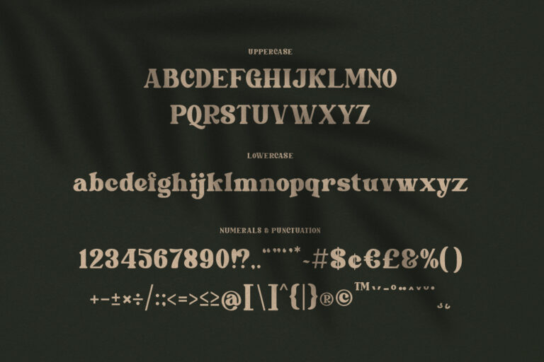 Marleigh Retro Serif - Image 8