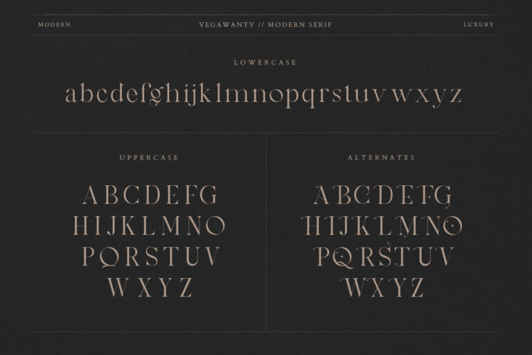 Vegawanty Modern Serif - Image 8