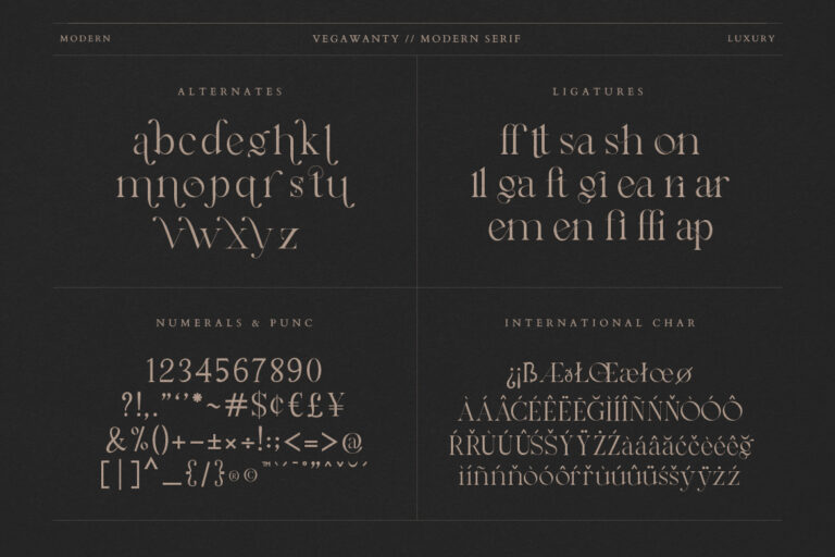 Vegawanty Modern Serif - Image 9