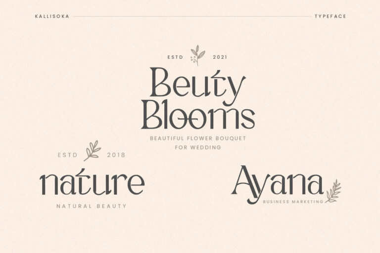 Kallisoka Modern Elegant Serif - Image 5